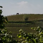 Agriostello Delle Langhe * Farigliano
