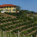 Agriostello Delle Langhe Vandrarhem