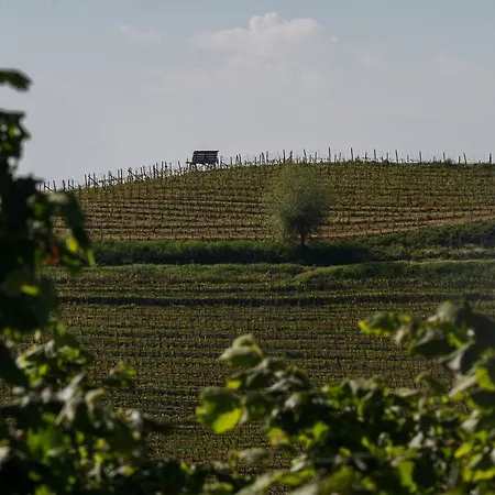 Agriostello Delle Langhe * Farigliano
