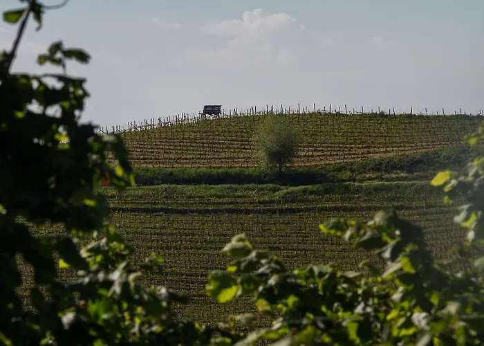 Agriostello Delle Langhe * Farigliano