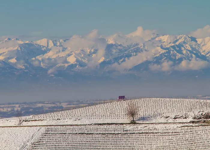 Agriostello Delle Langhe Vandrerhjem Farigliano